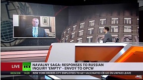 Ambassador Alexander Shulgin's interview to RT,