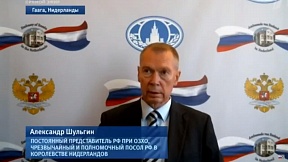 Шульгин рассказал о направленной постпредству ФРГ при ОЗХО