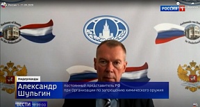 Постпред России при ОЗХО: