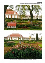 Het cadeau uit het land van tulpen.